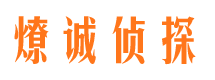 庆城市调查公司